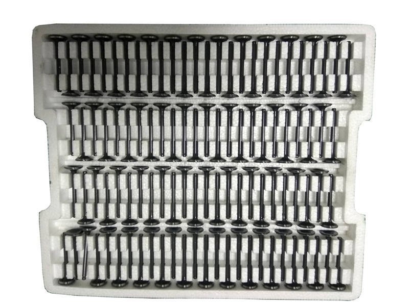 SC020-11-001   Valve（In & Ex）