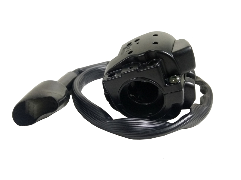 PG017-11-001   Hand Switch